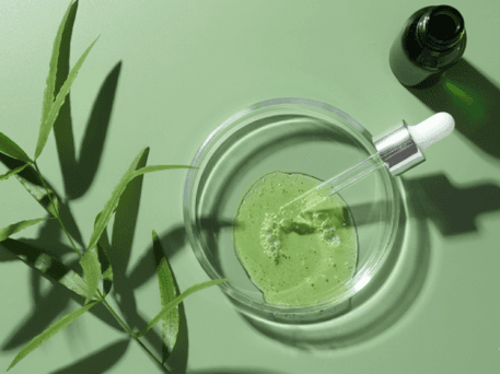 VegOutOrganics – Advanced Performance Marketing Case Study