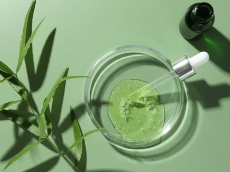 VegOutOrganics – Advanced Performance Marketing Case Study